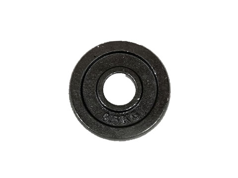 Steel Plate (Φ28) 0,5kg